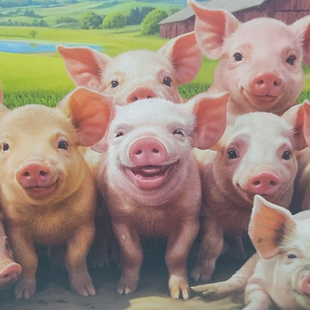 Ravensburger 500 piece Puzzle Piggies Pigs Barn Farm Large Piece 27.5 x 20 in.